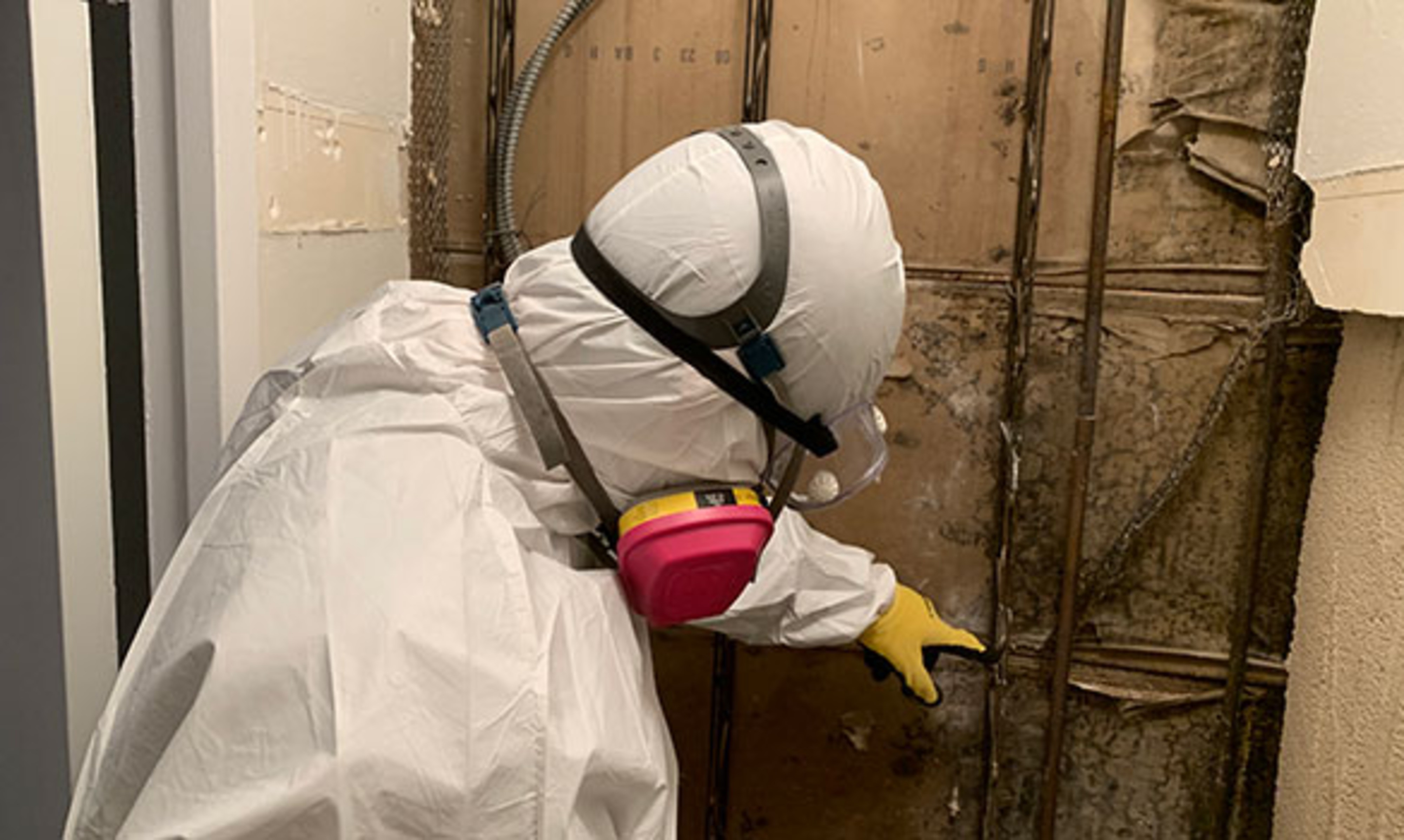 Regulatory Requirements for Mold Remediation in Washington State