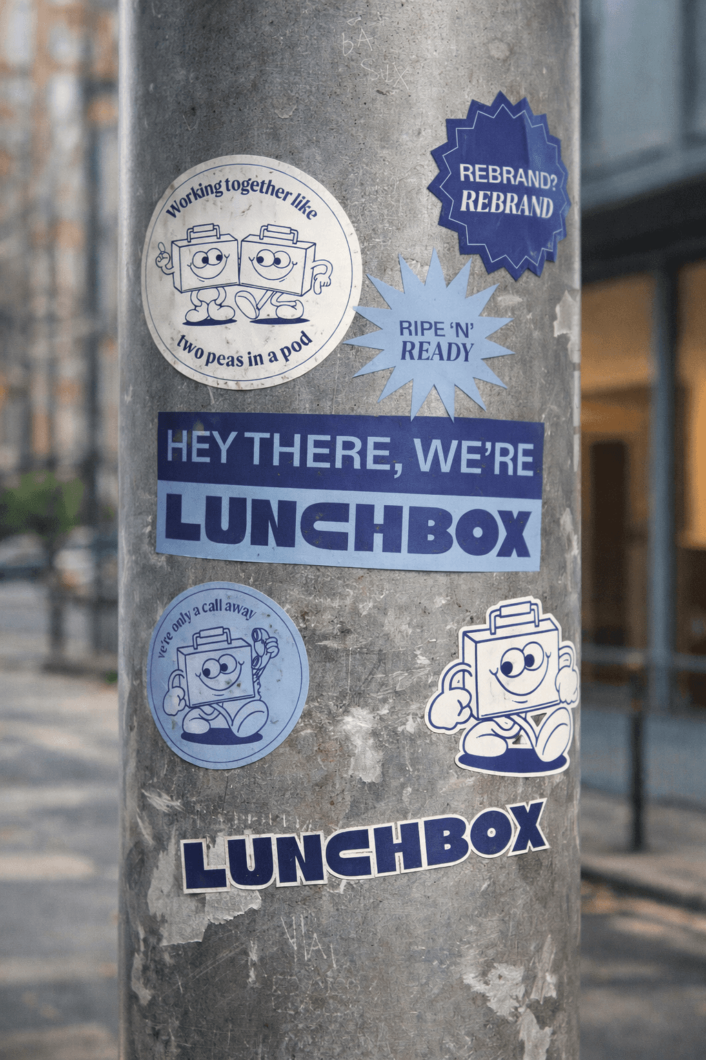 Project Gallery Image for 50% width of the screen #2