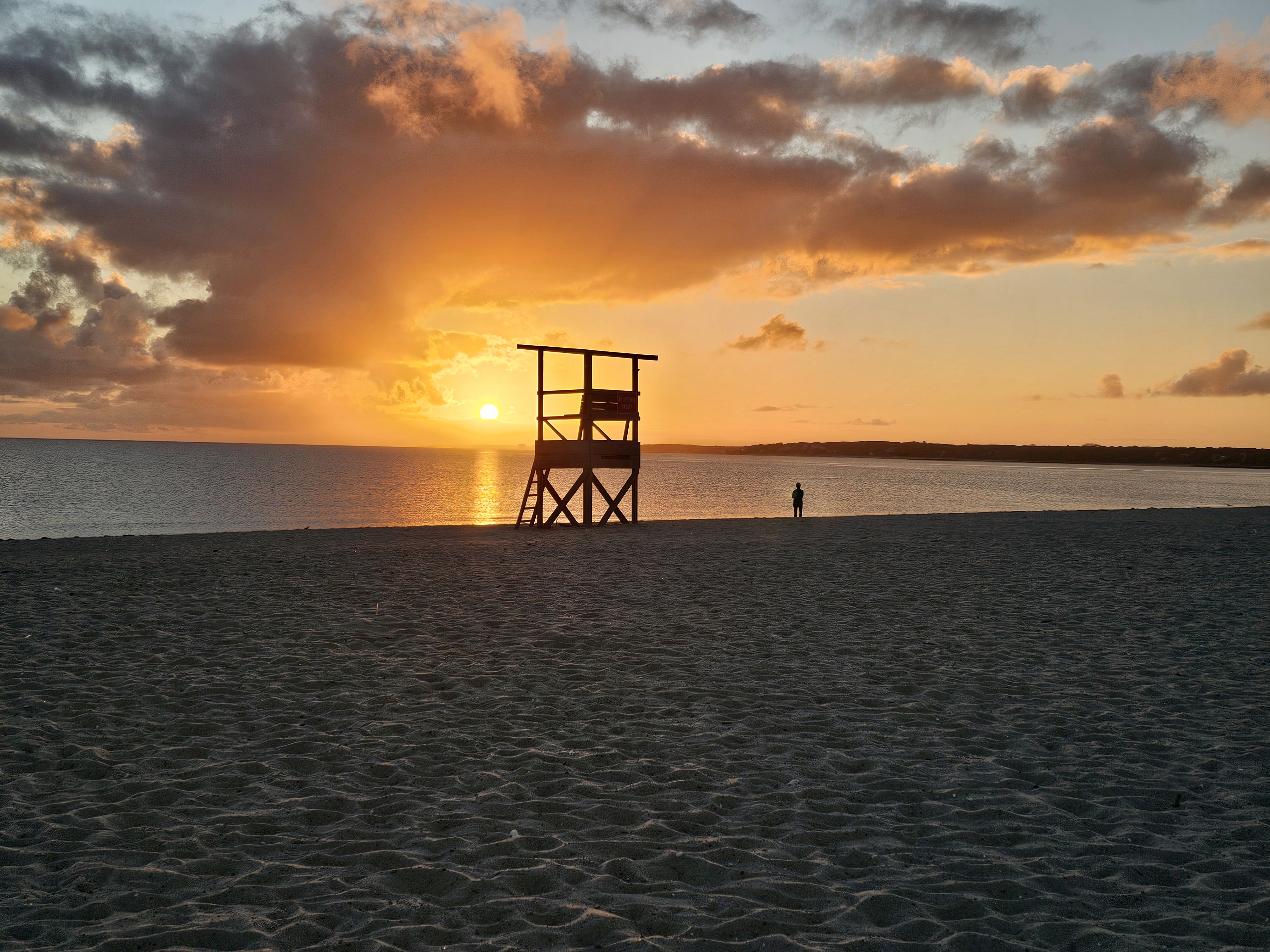 Cape Cod, tun, bonito, striper