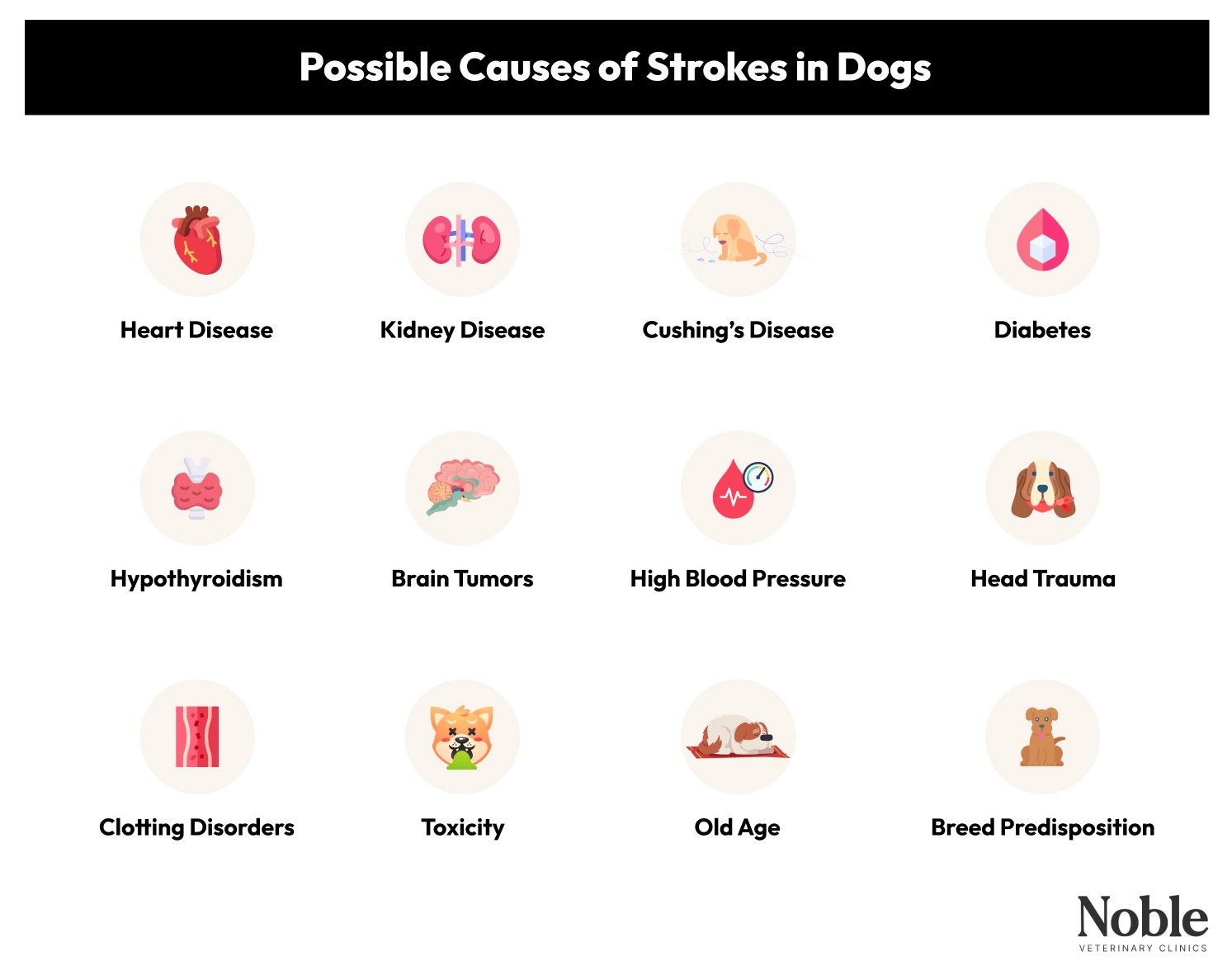 Possible Causes of Strokes in Dogs