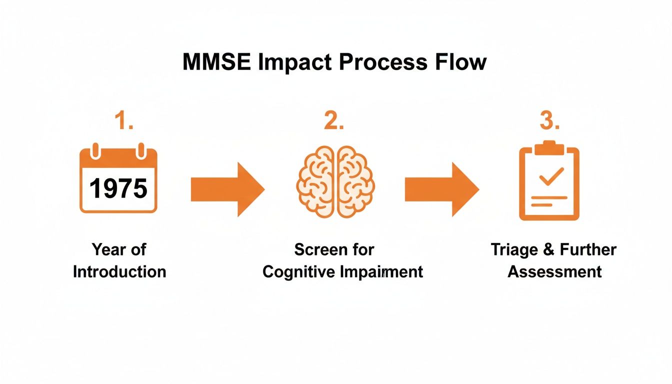 MMSE impact process flow detailing its 1975 introduction, cognitive screening, and further assessment steps.