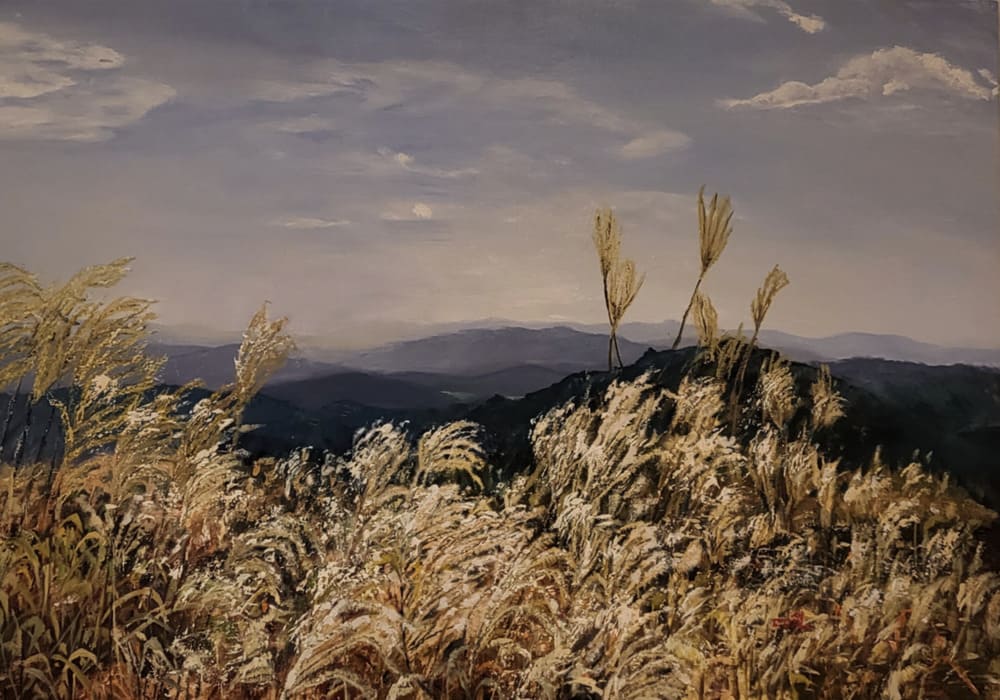 Placeholder for hero image