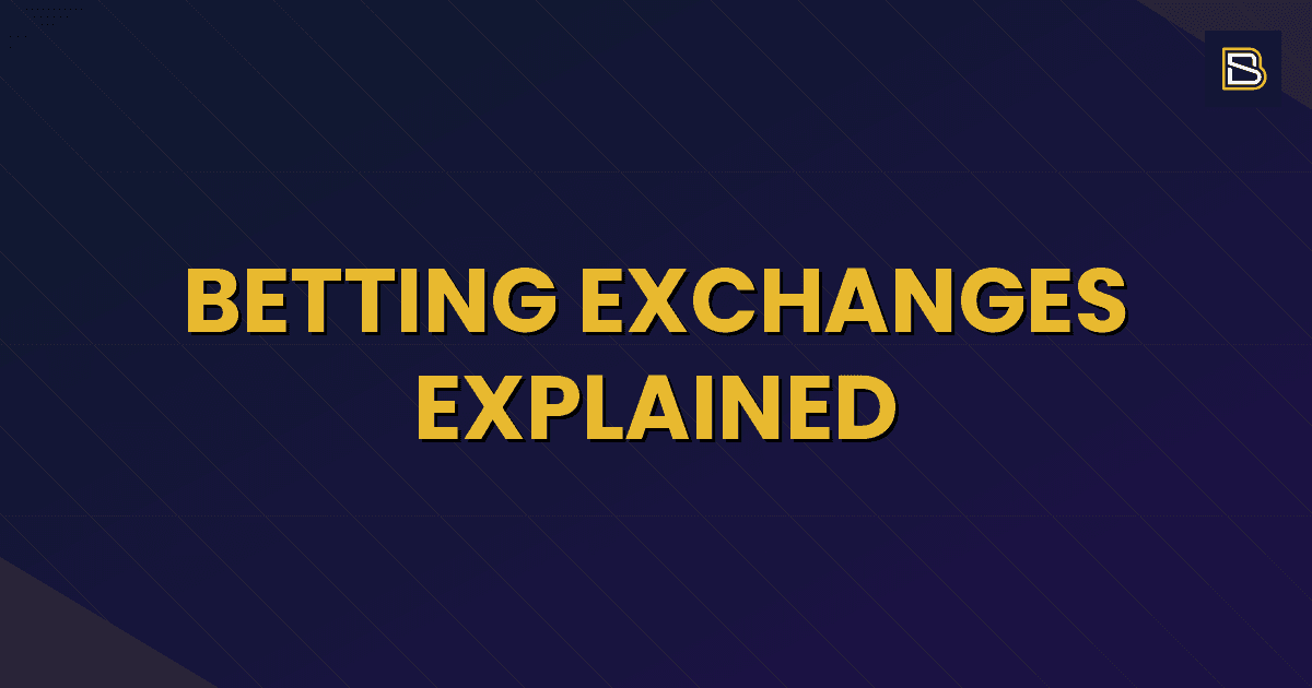 vig sports betting explained