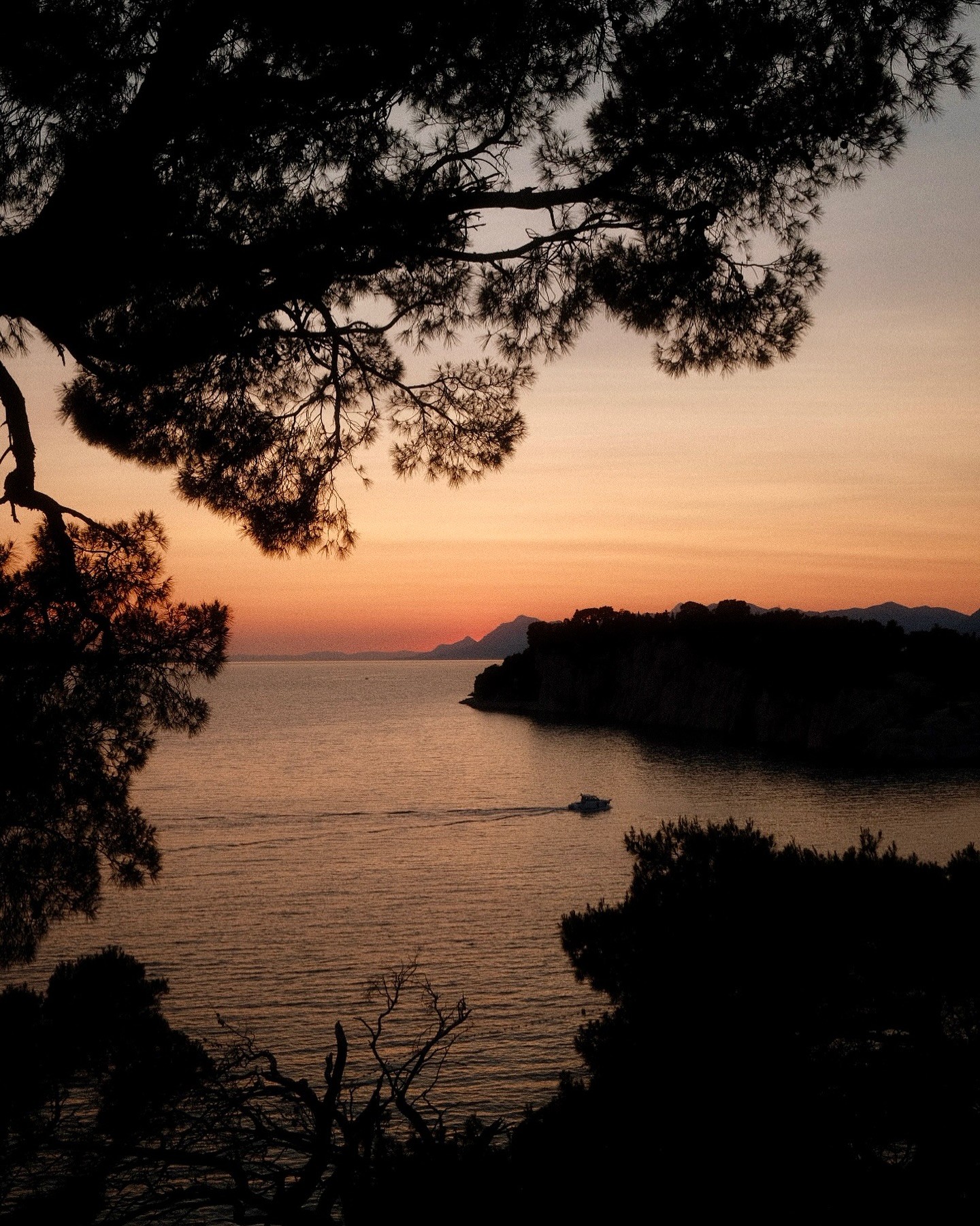 Sea and boat in the sunset sun surrounded by trees