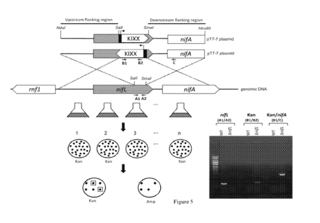 재생농업(바이오, 토양) 특허