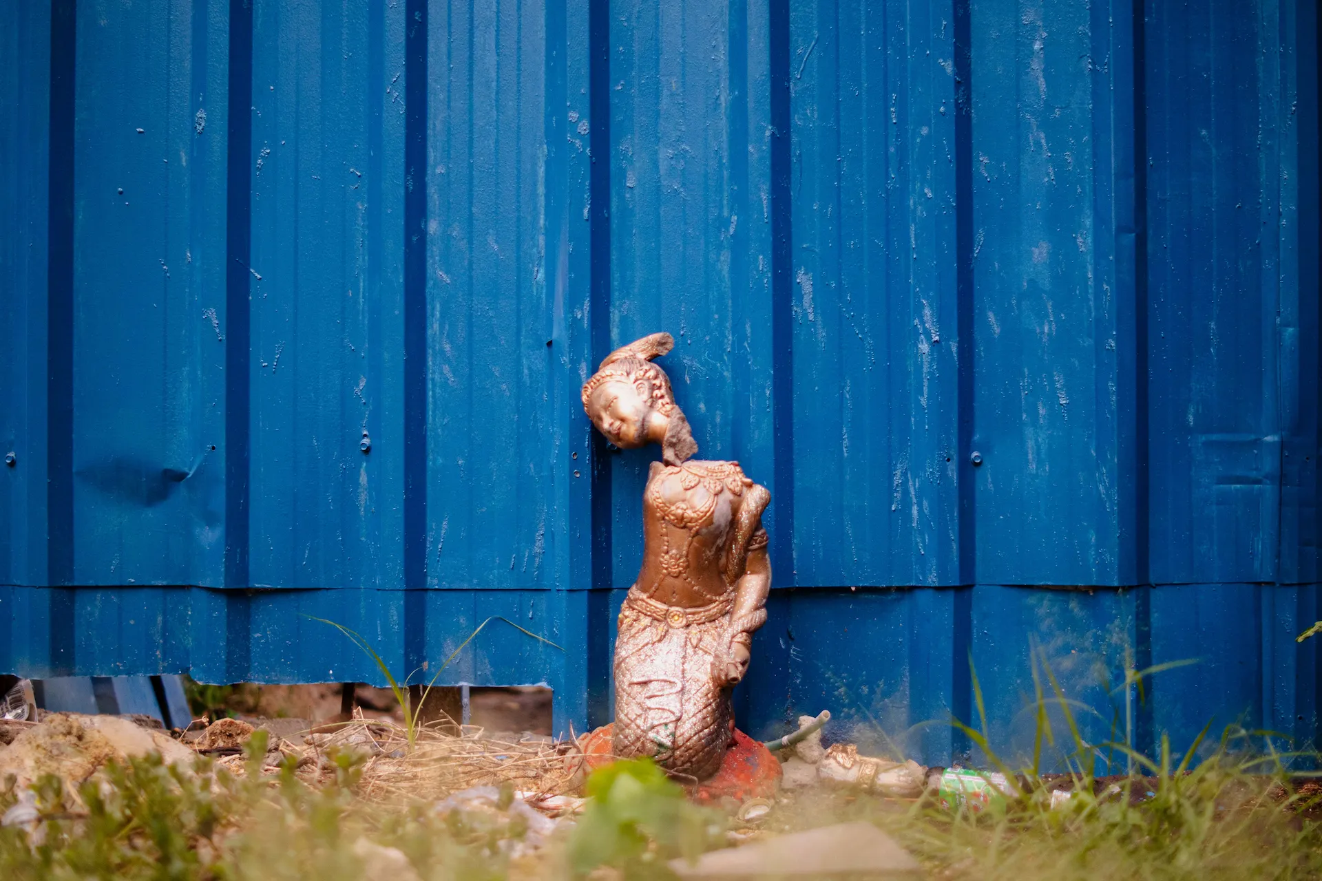 Daydreaming by Alco