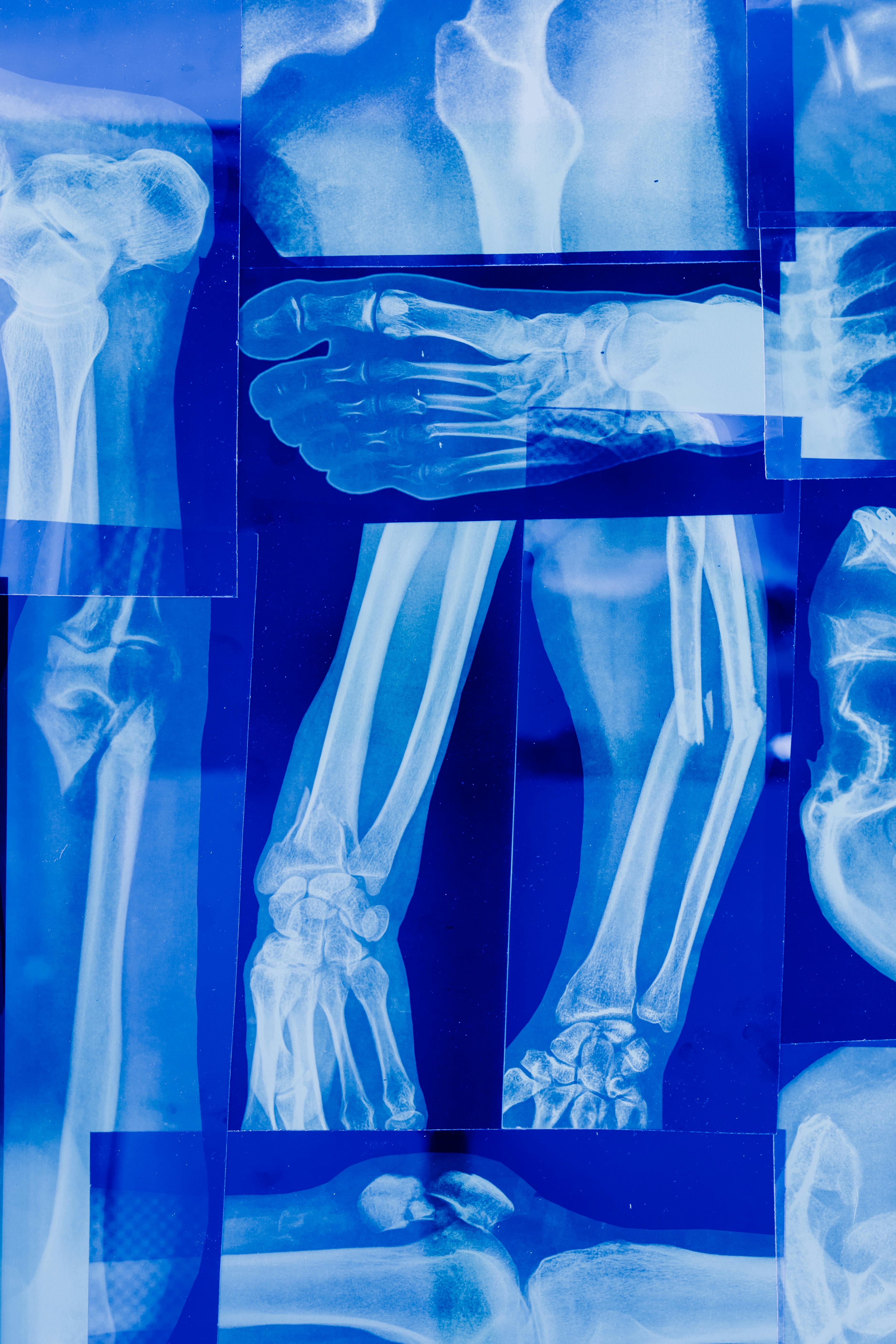 Oragnise all your xrays