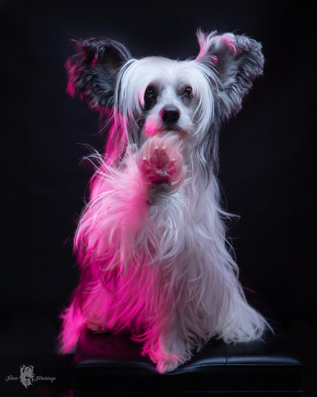 A smiling young man with crossed arms, wearing a plaid shirt and white t-shirt, poses against a dark background.