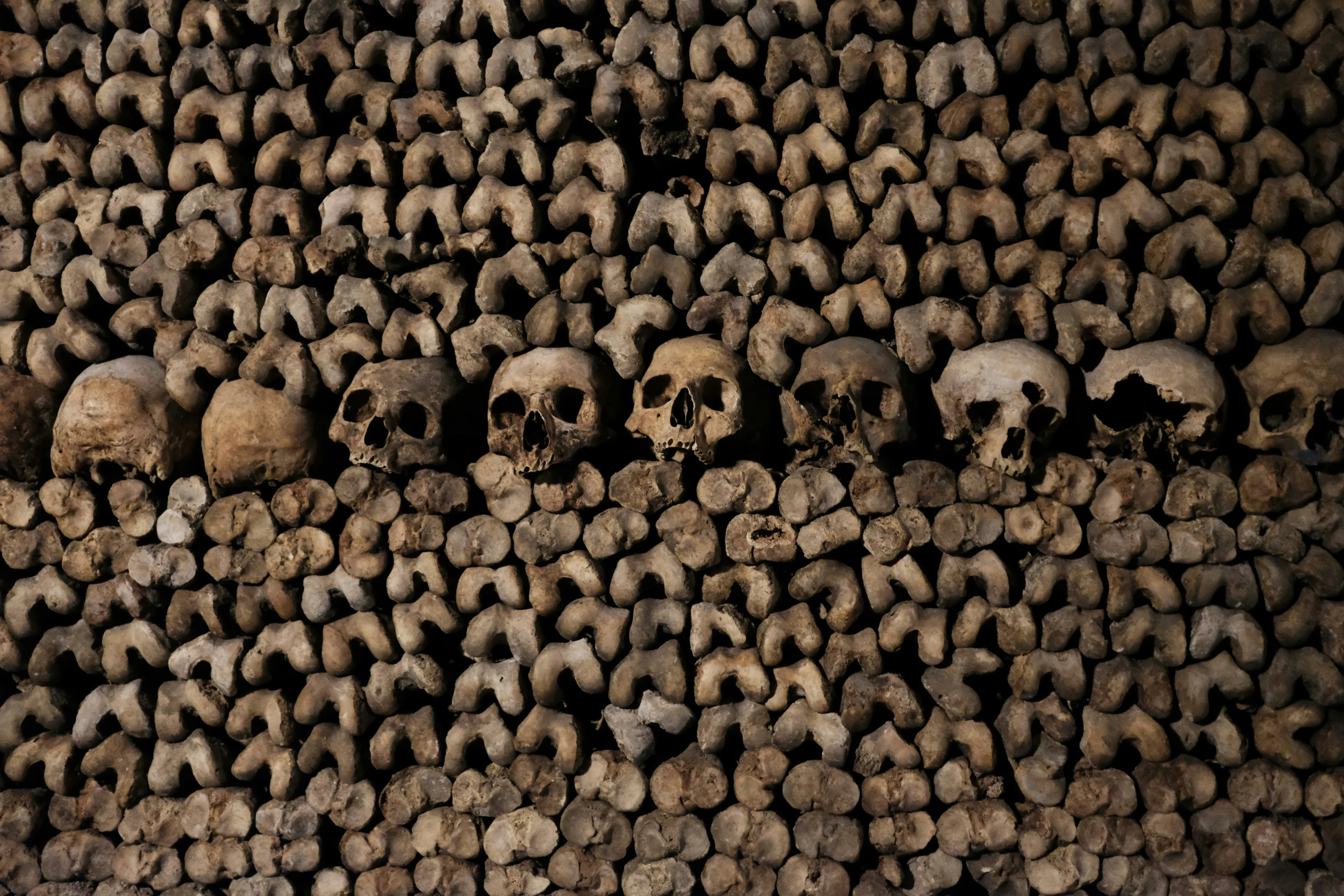 A pile of skulls and bone fragments in the Paris Catacombs.