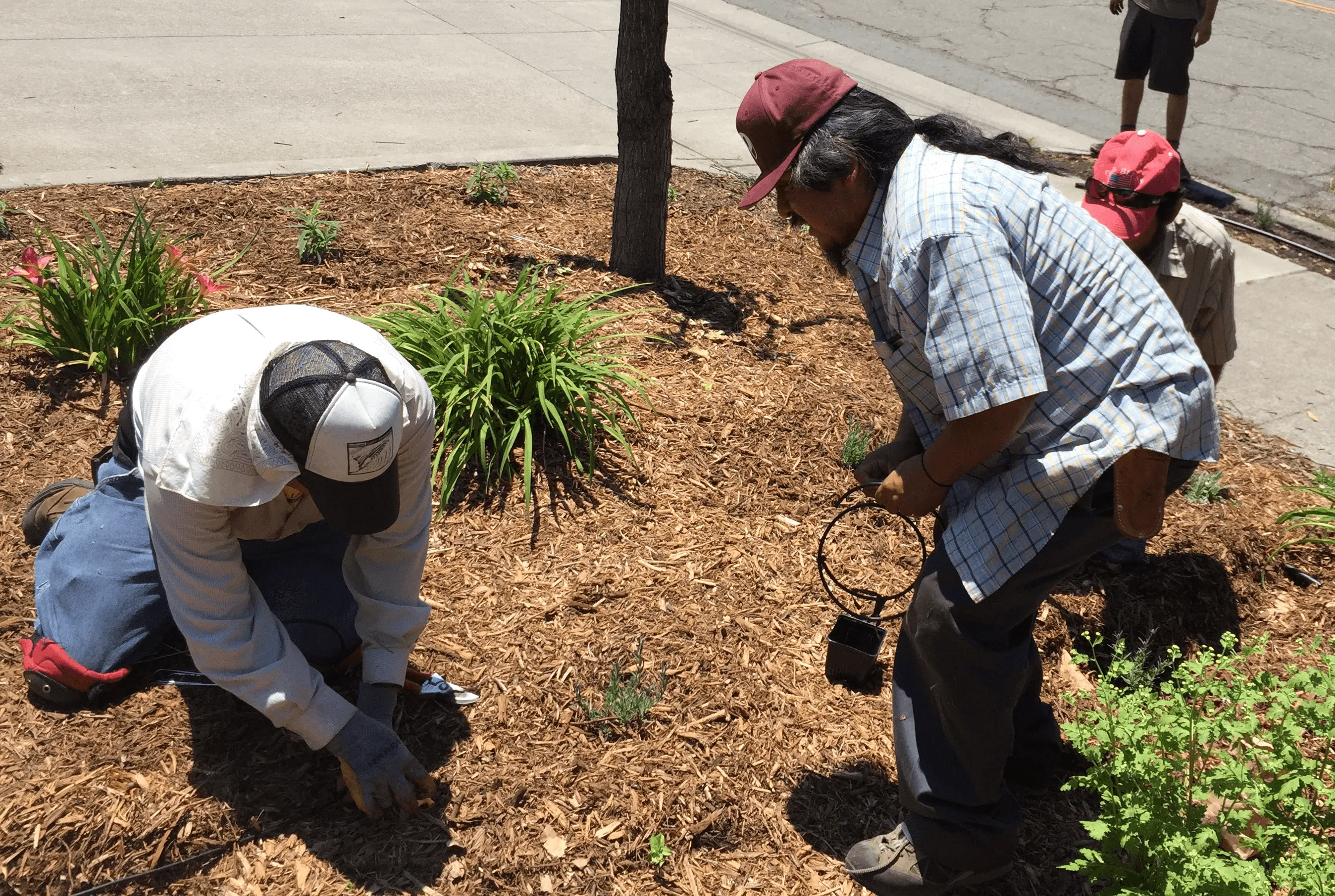 man in black crew neck t-shirt and blue shorts holding woman in white and red