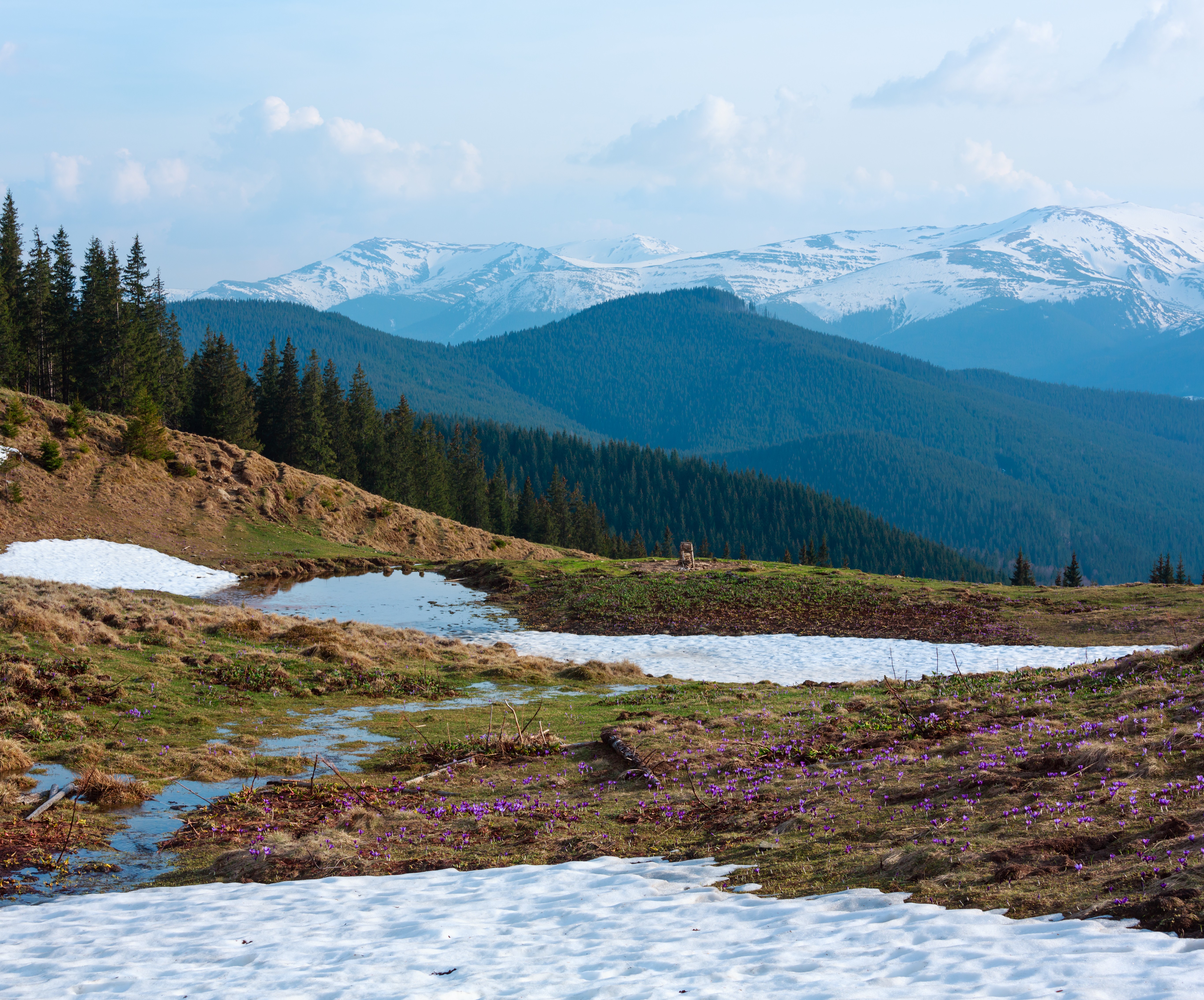 Colorado Rocky Mountain Landscape