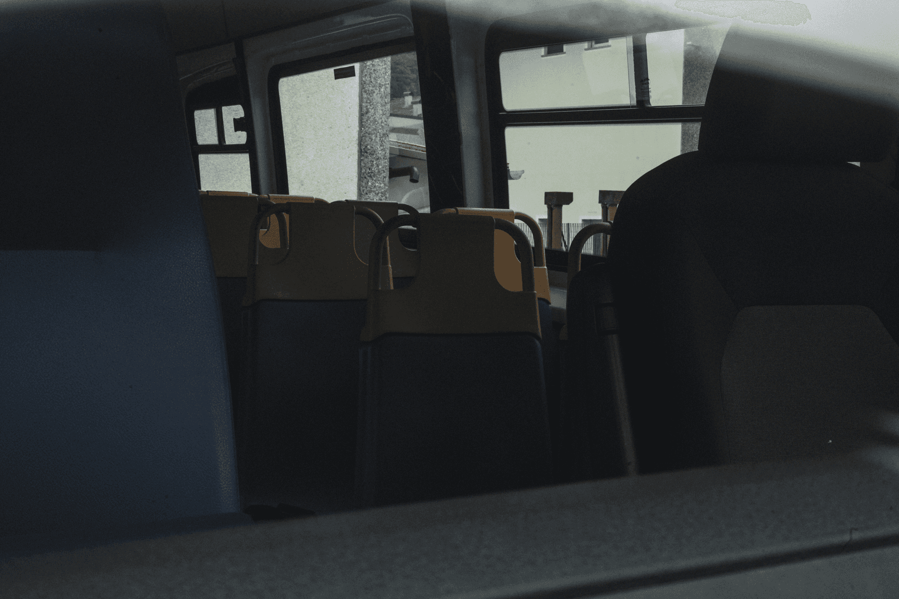 Visione delle sedute