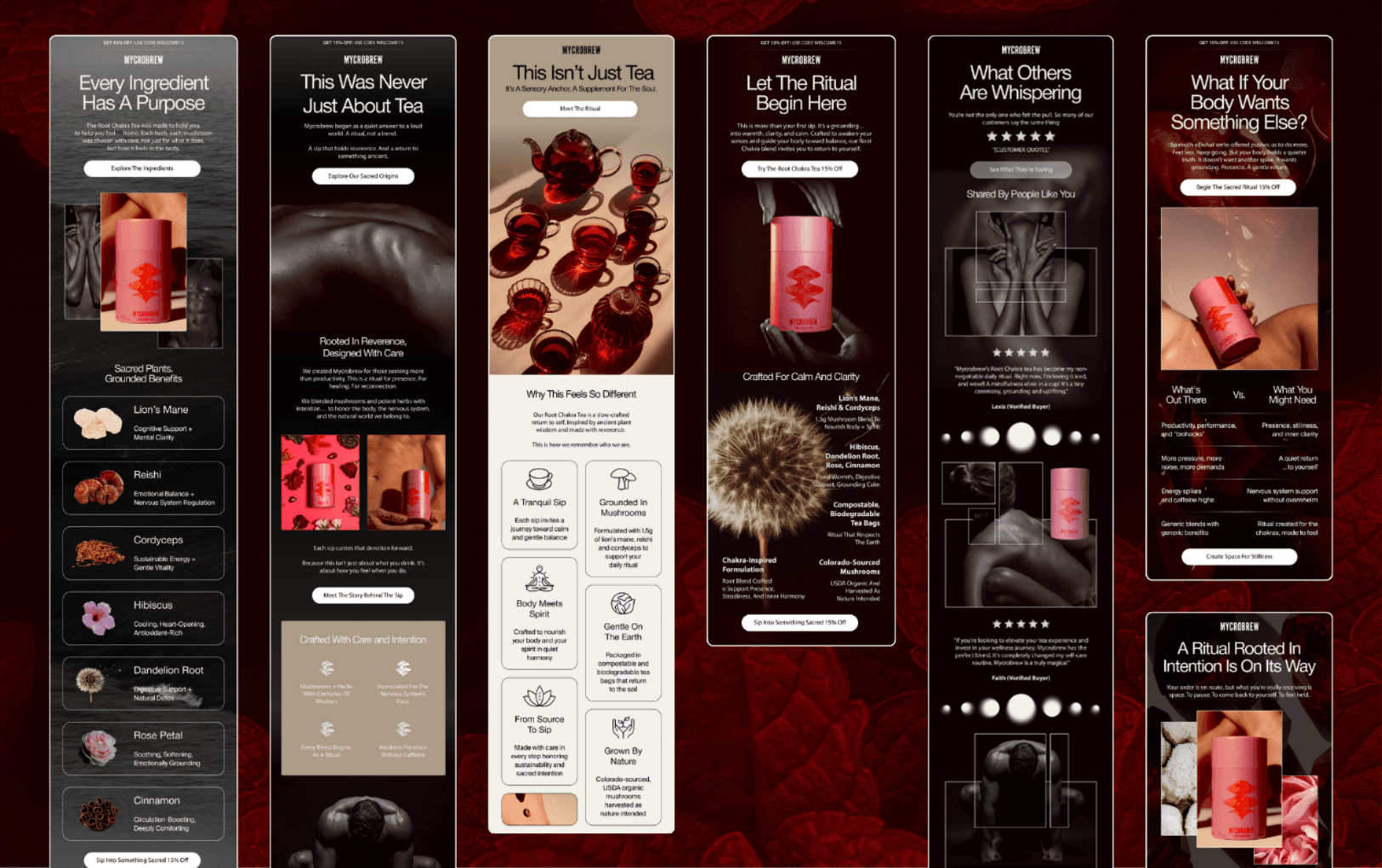 white label email design for ecom email marketing agencies