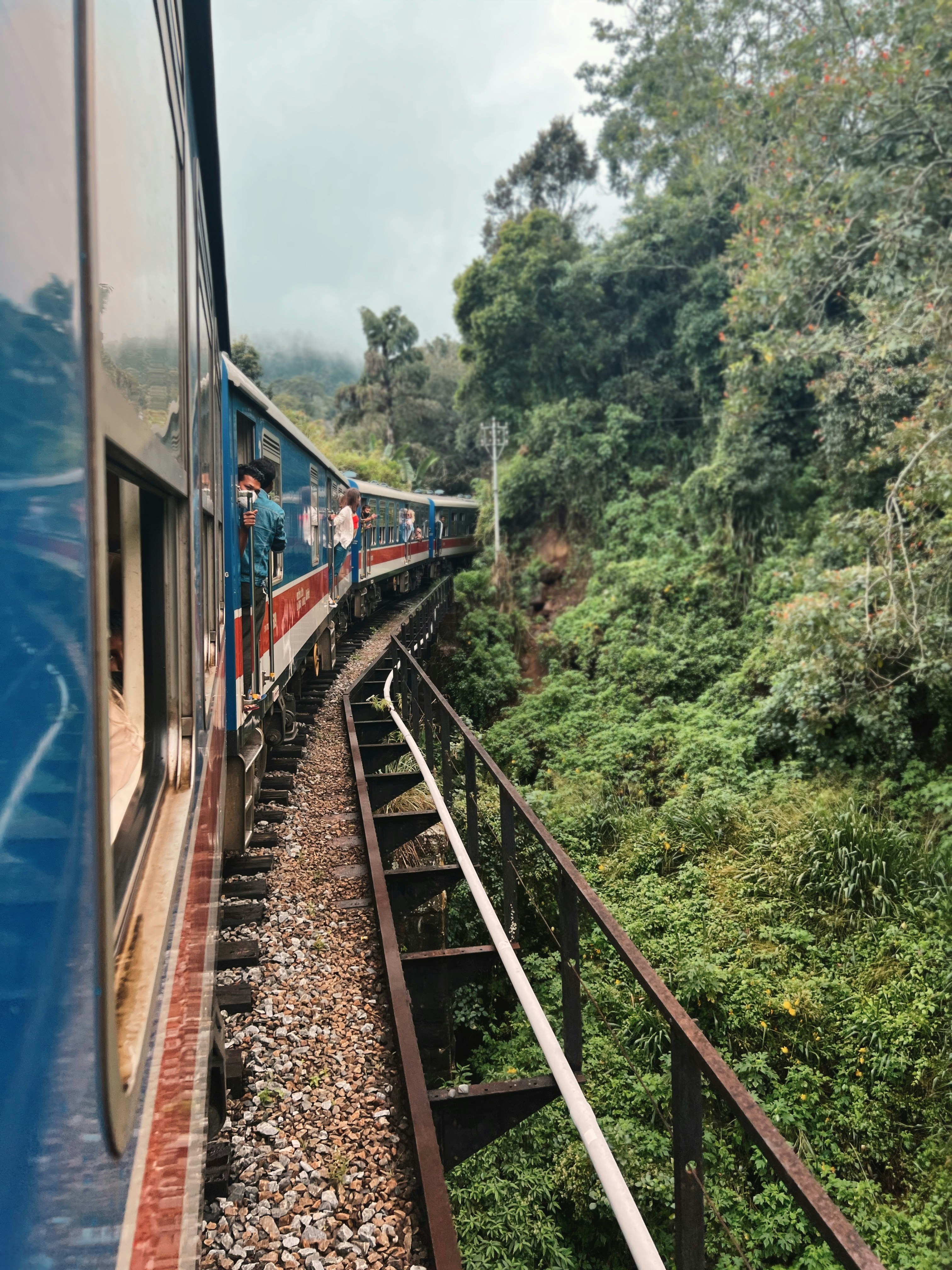 a blue train traveling through a lush green forest
