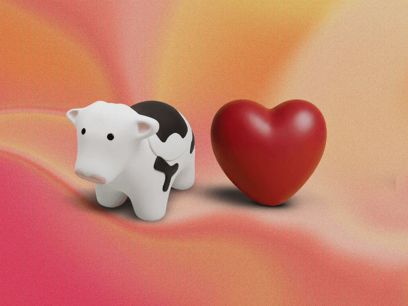 Bespoke Stress Balls