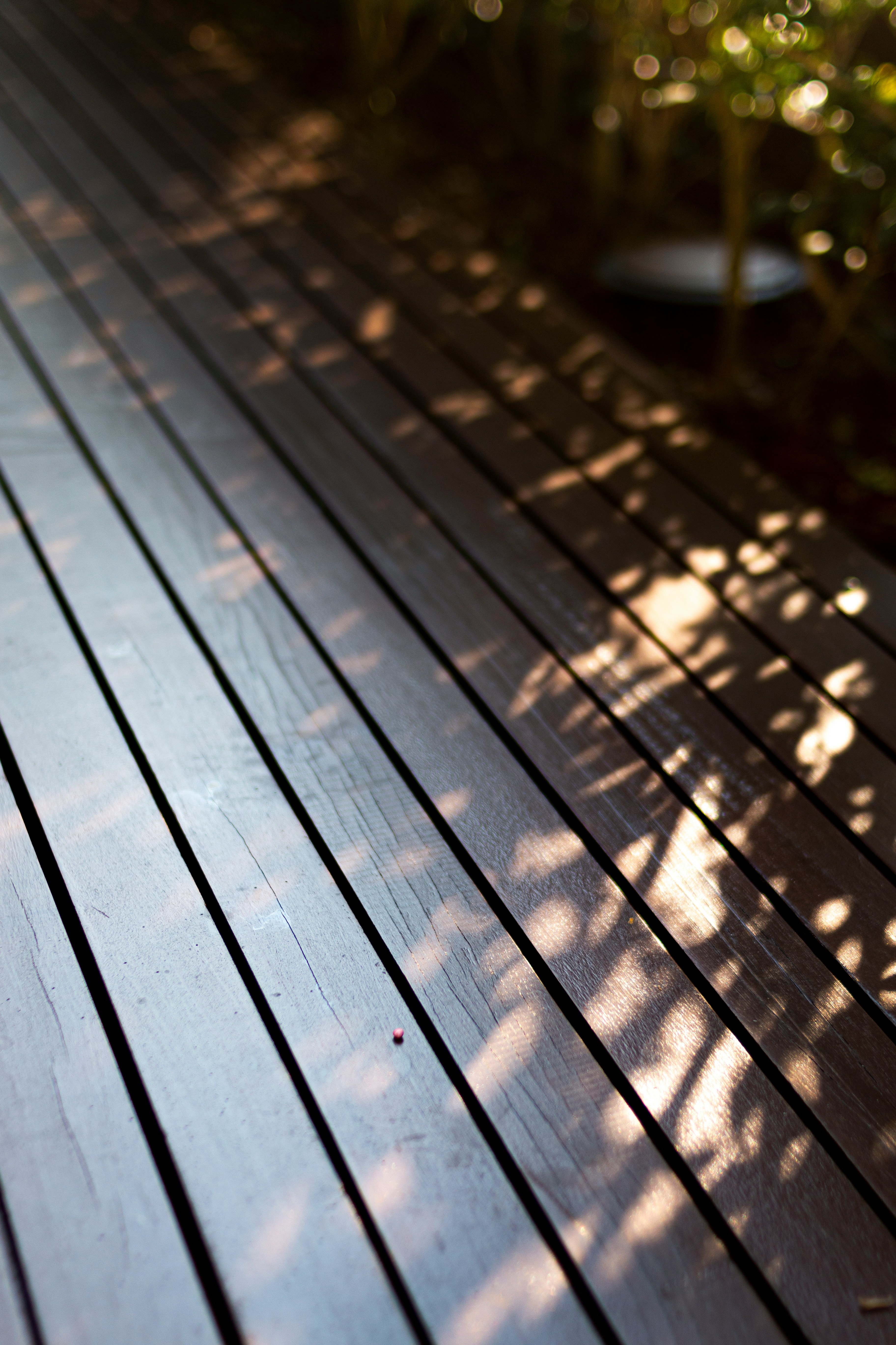 a close up of a wooden deck with plants in the background