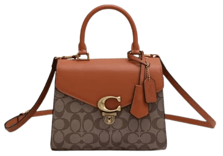 Coach Signature Bag