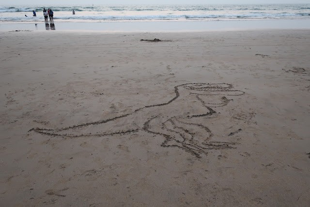 Dinosaur drawn in the sand on the beach