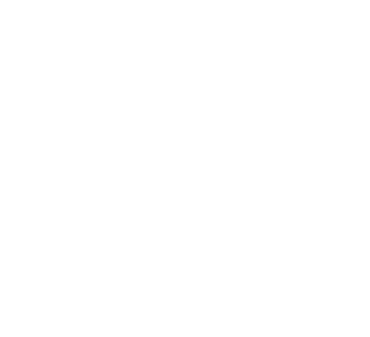 White state outline of South Carolina