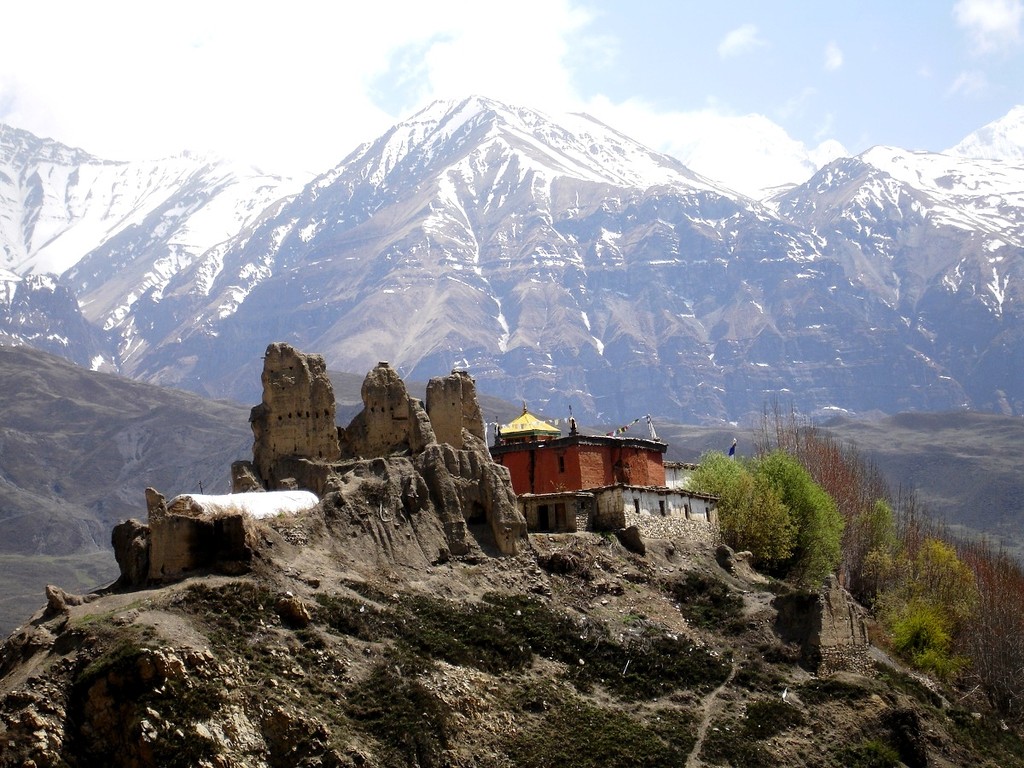 aerial view of city buildings during daytime