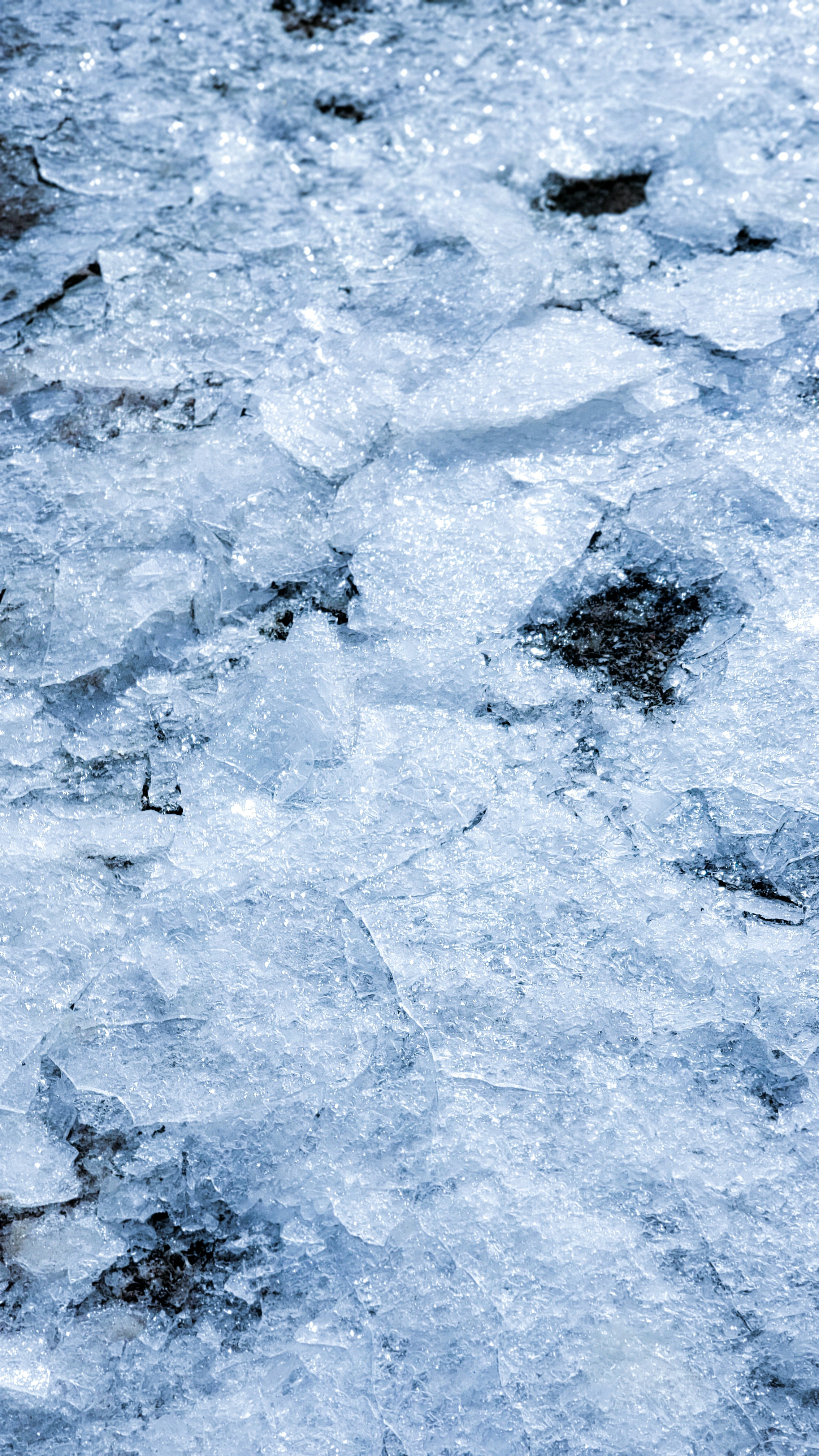 a bird standing on top of ice covered ground