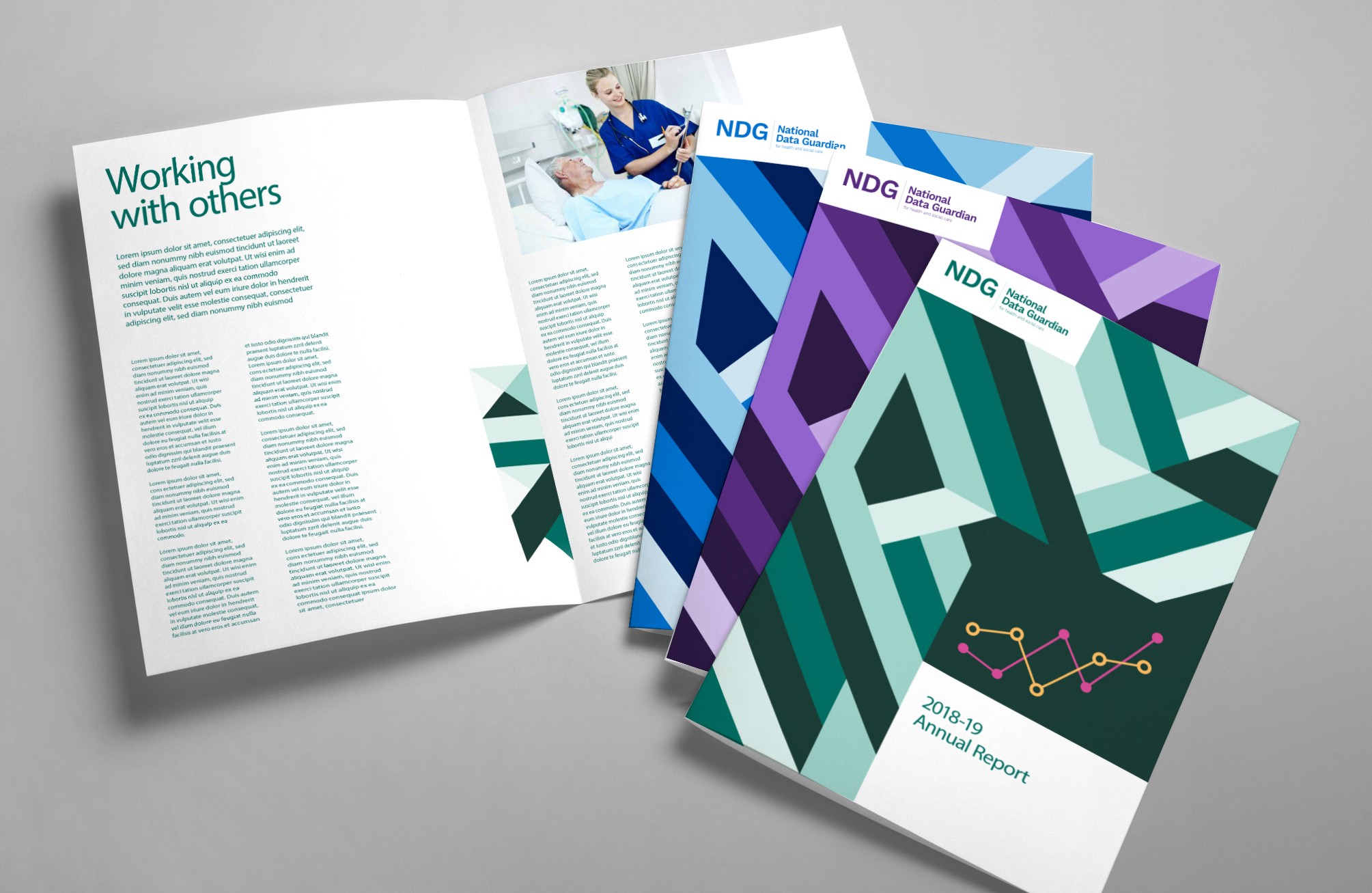 National Data Guardian Brand Identity Brochures