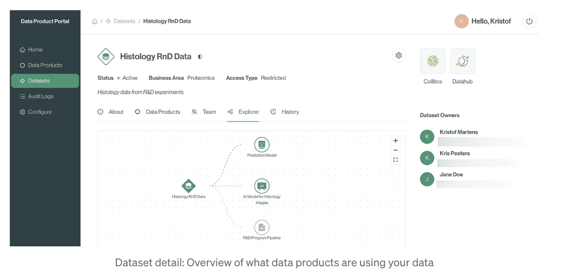 Datadet detail