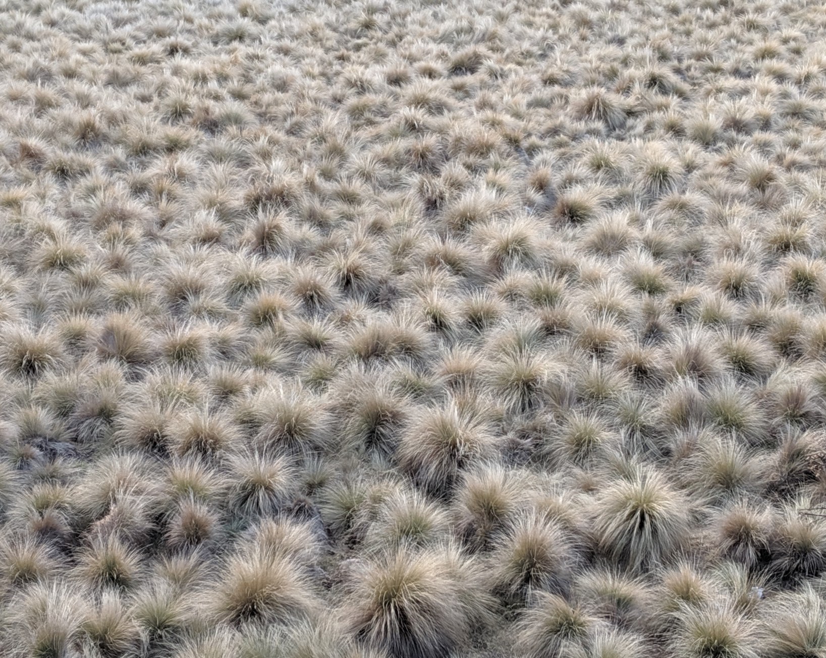 Tree branches reach towards a clear, blue sky.