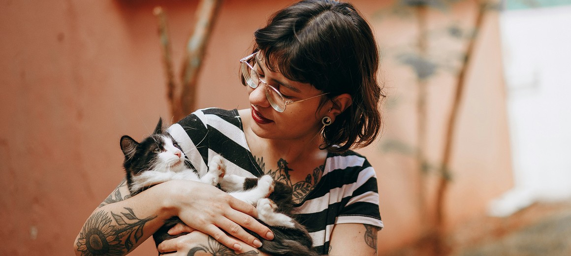 A fast black sports car races down the highway.