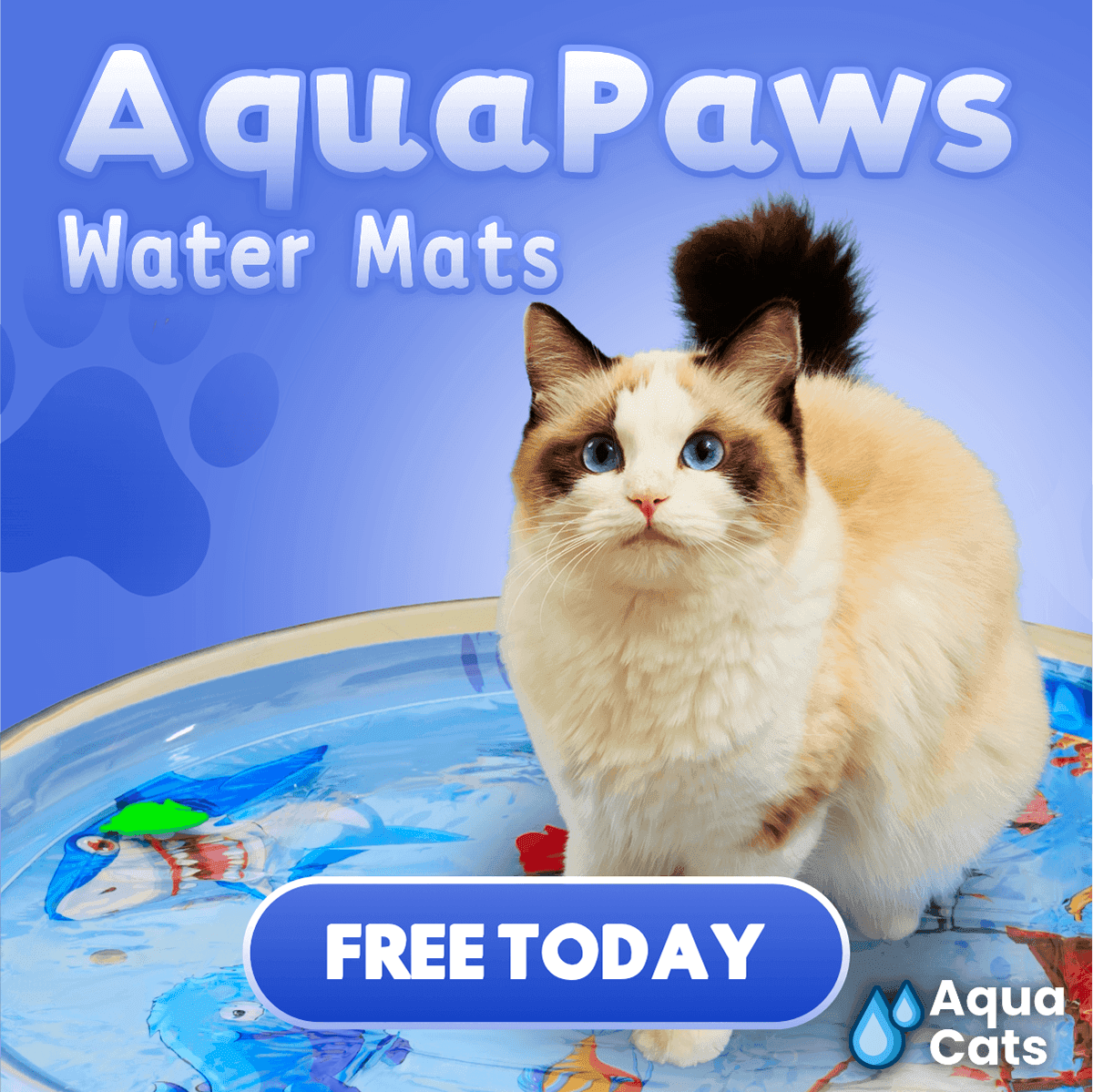 AquaPaws Advertisement Design — image 6