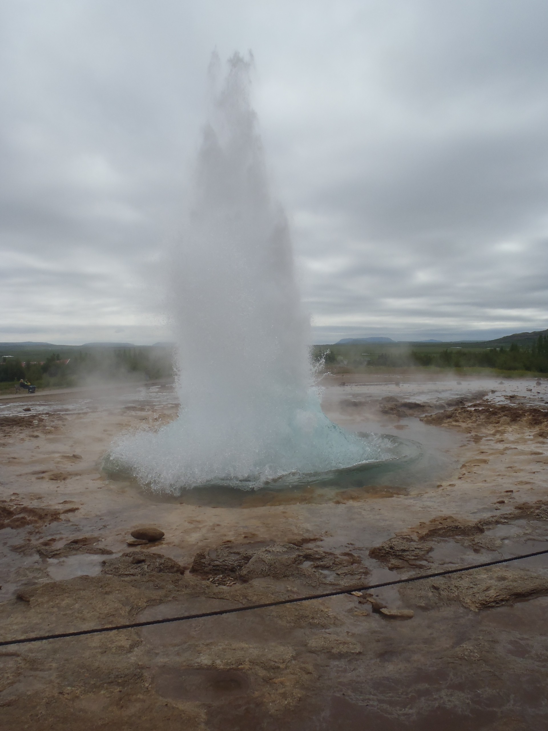 Island, Brown Trout, Arctic char, fjeldørred