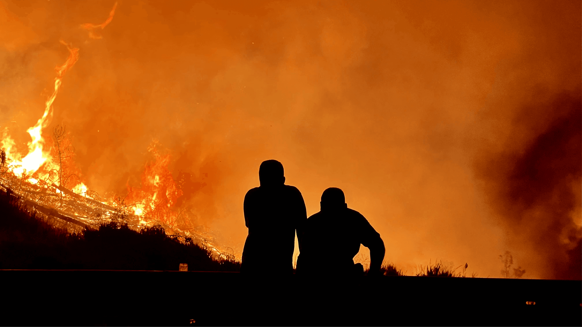 mobile app where a reciept is sorted