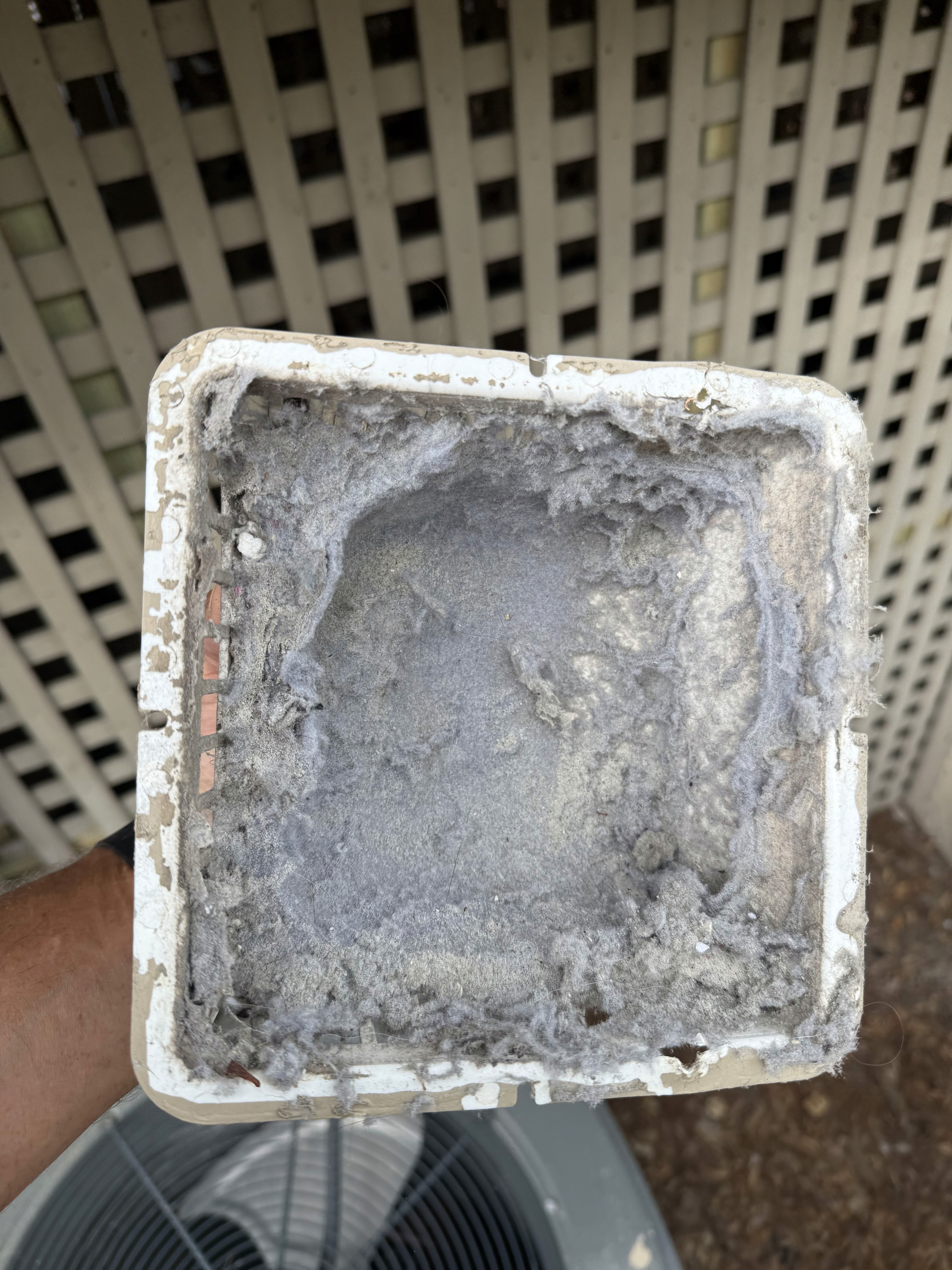 Exterior dryer vent cover being cleaned to restore airflow and prevent blockages.