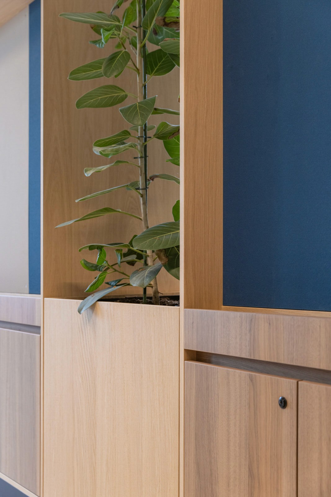 Positive Space - Mollie HQ room divider detail