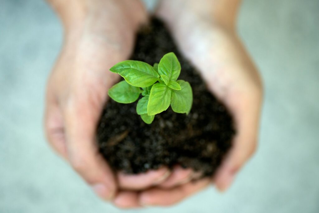 Plant Growing