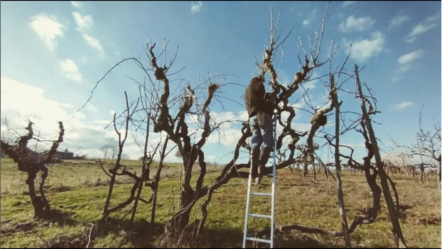 Kitchen installation