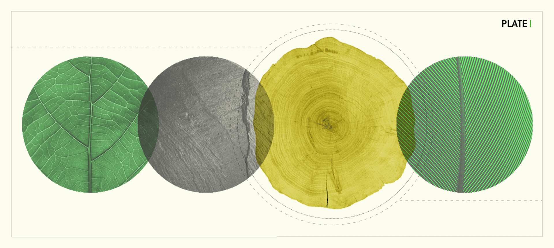 Four natural textures in abstract shapes: leaf, stone, wood, feather