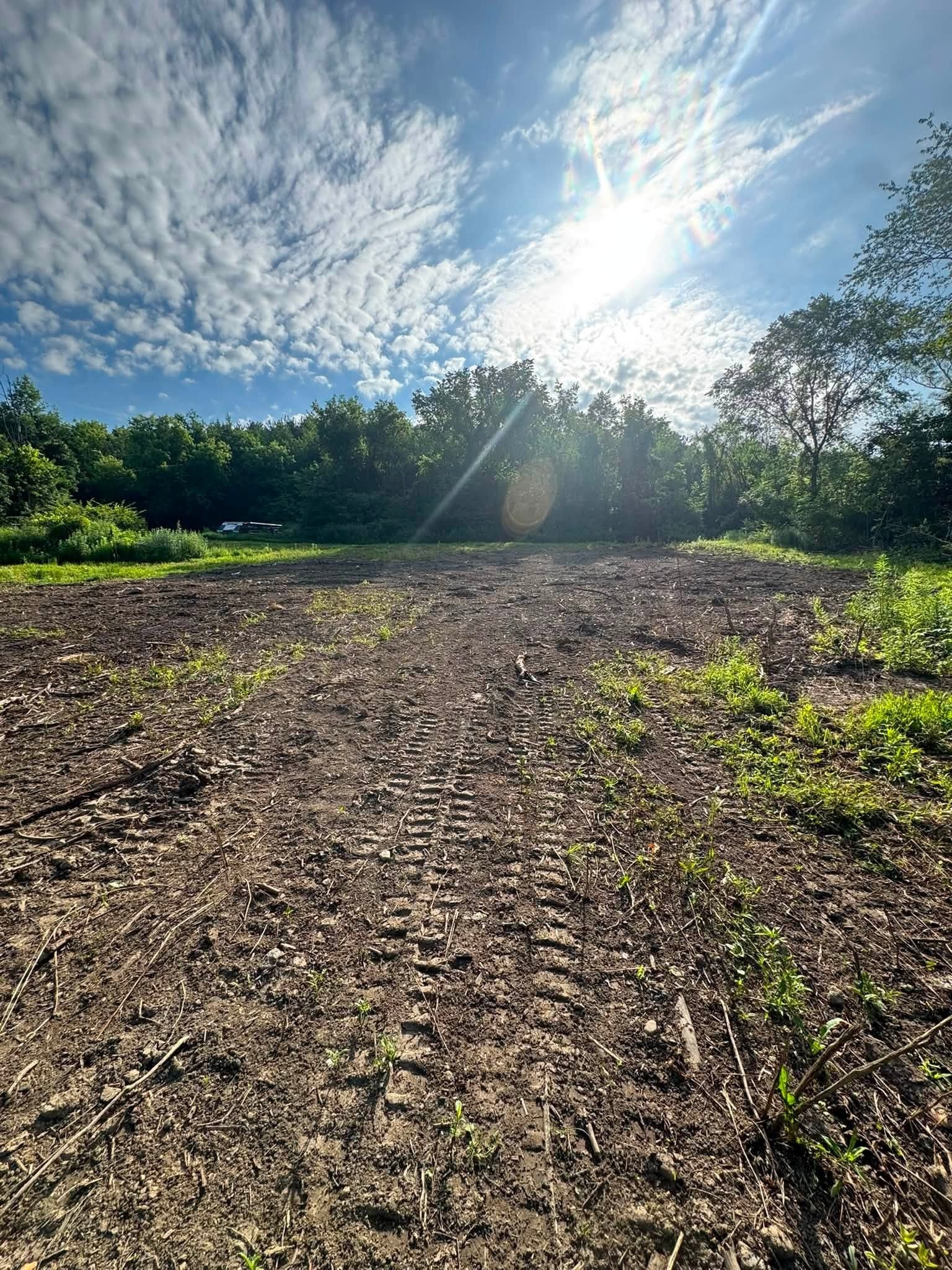 Cleared and mulched land after brush removal in Central New York