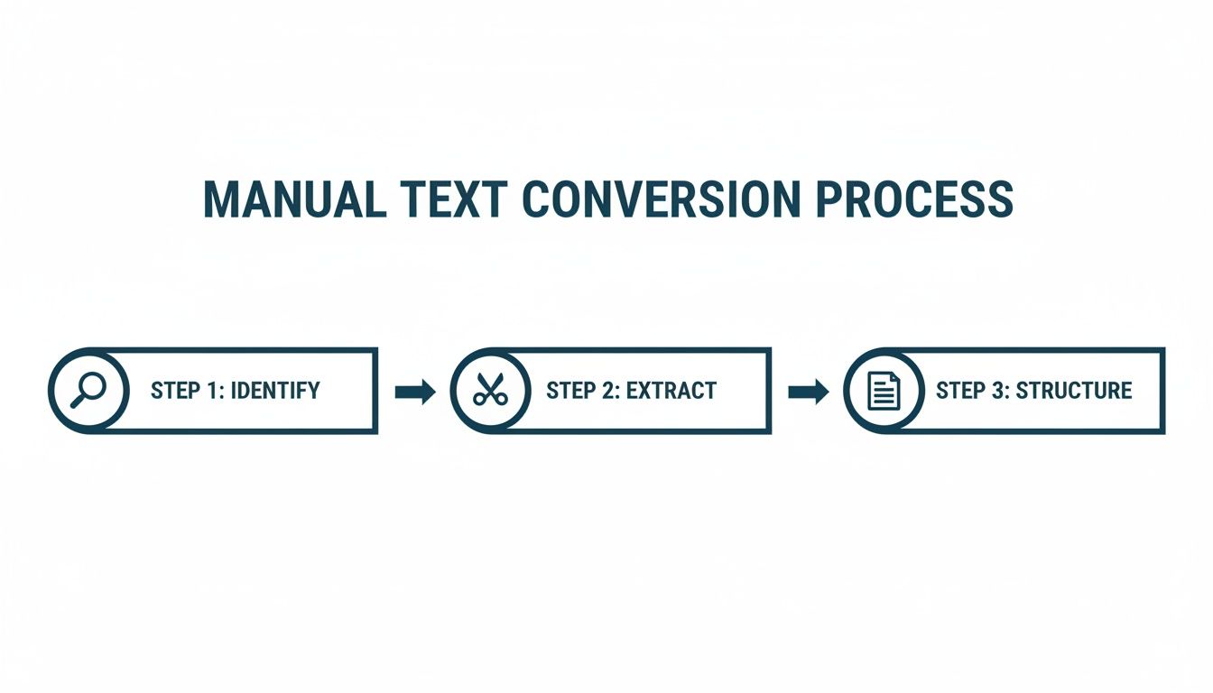 Diagram illustrating a three-step manual text conversion process: Identify, Extract, and Structure.