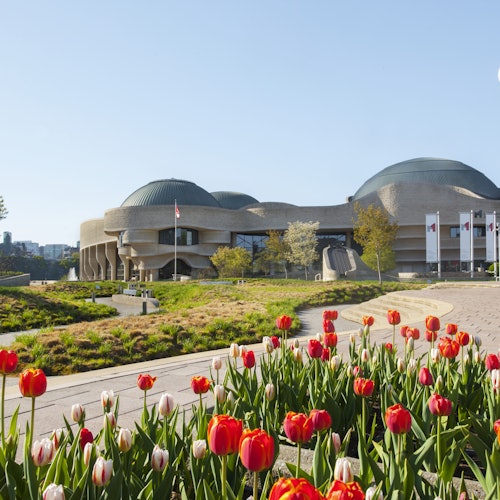 在蔚蓝的天空下，一座具有弯曲建筑风格的大楼矗立在红白郁金香花园之后。