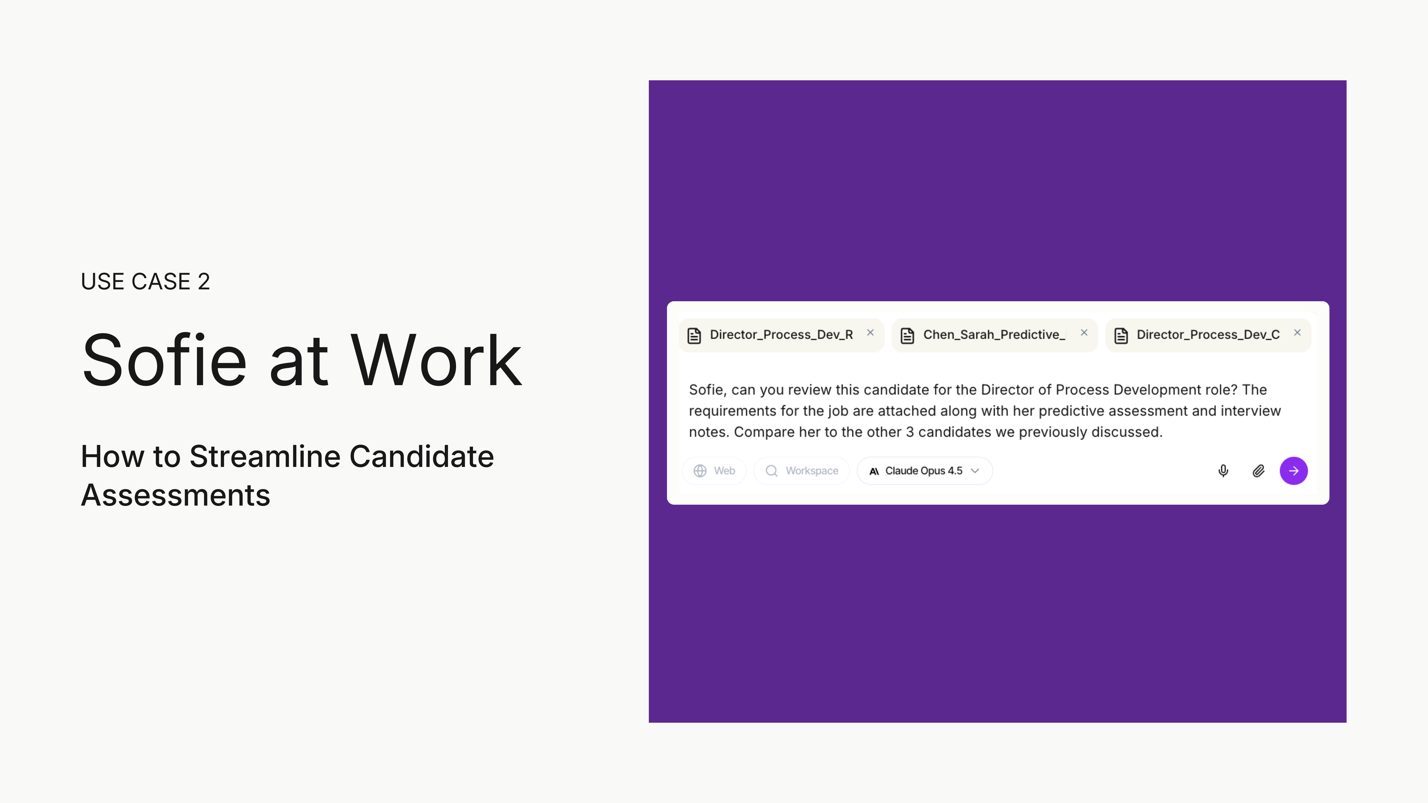 Sofie at Work: Candidate Assessments