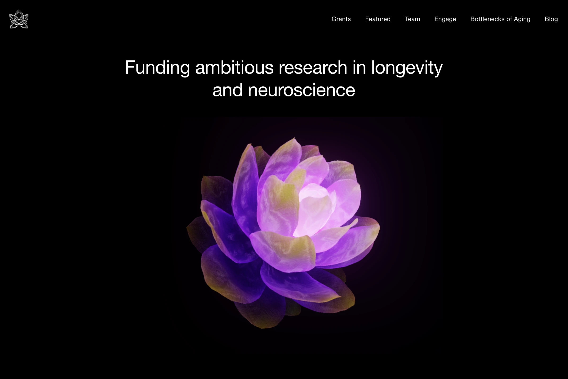 Amaranth Foundation Website by Aaron Rolston