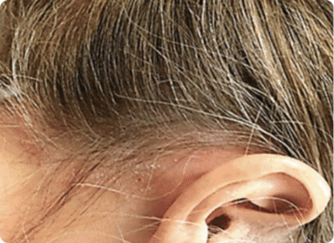 An image of Freelio's project ui