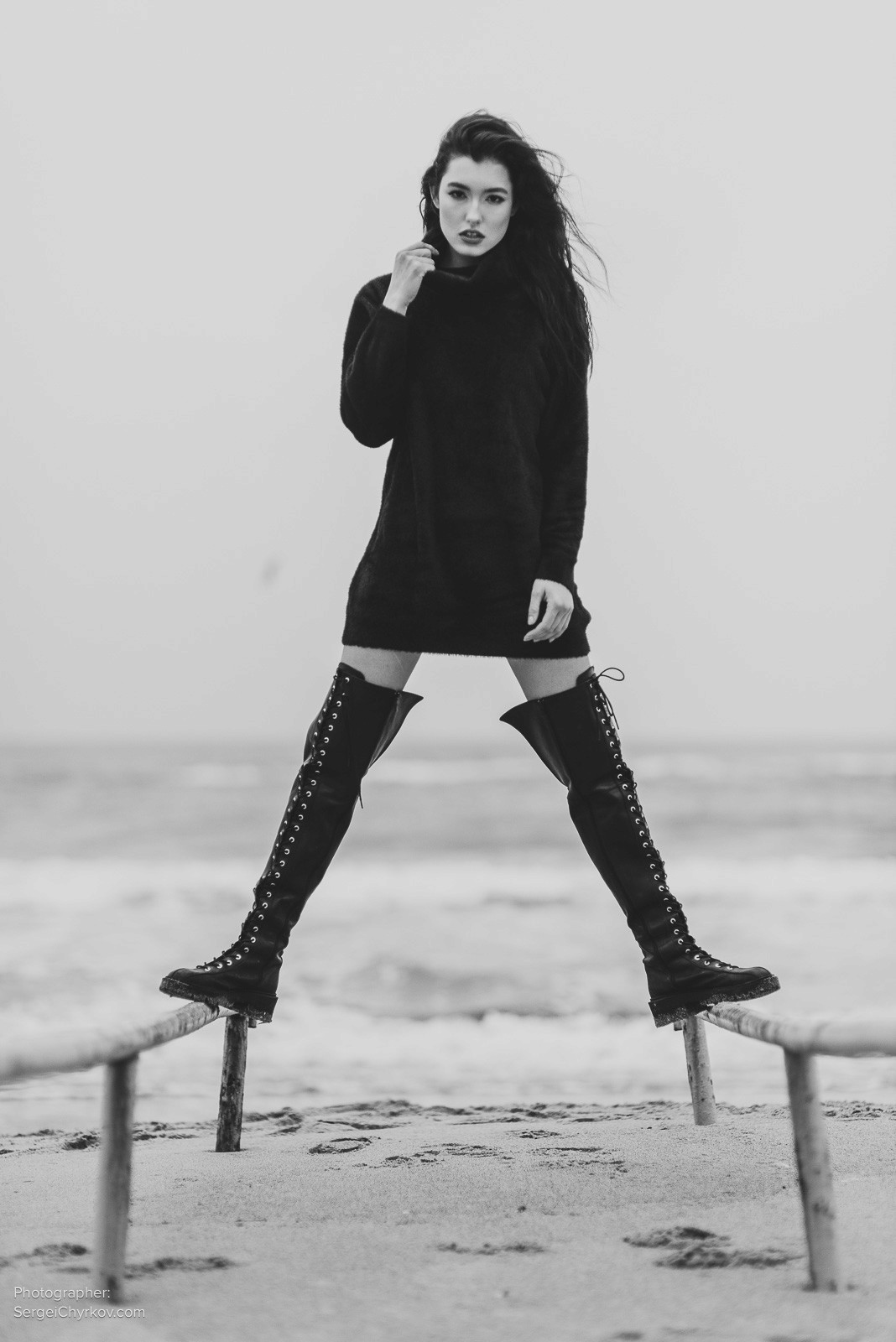 Seagulls by Sergei Chyrkov