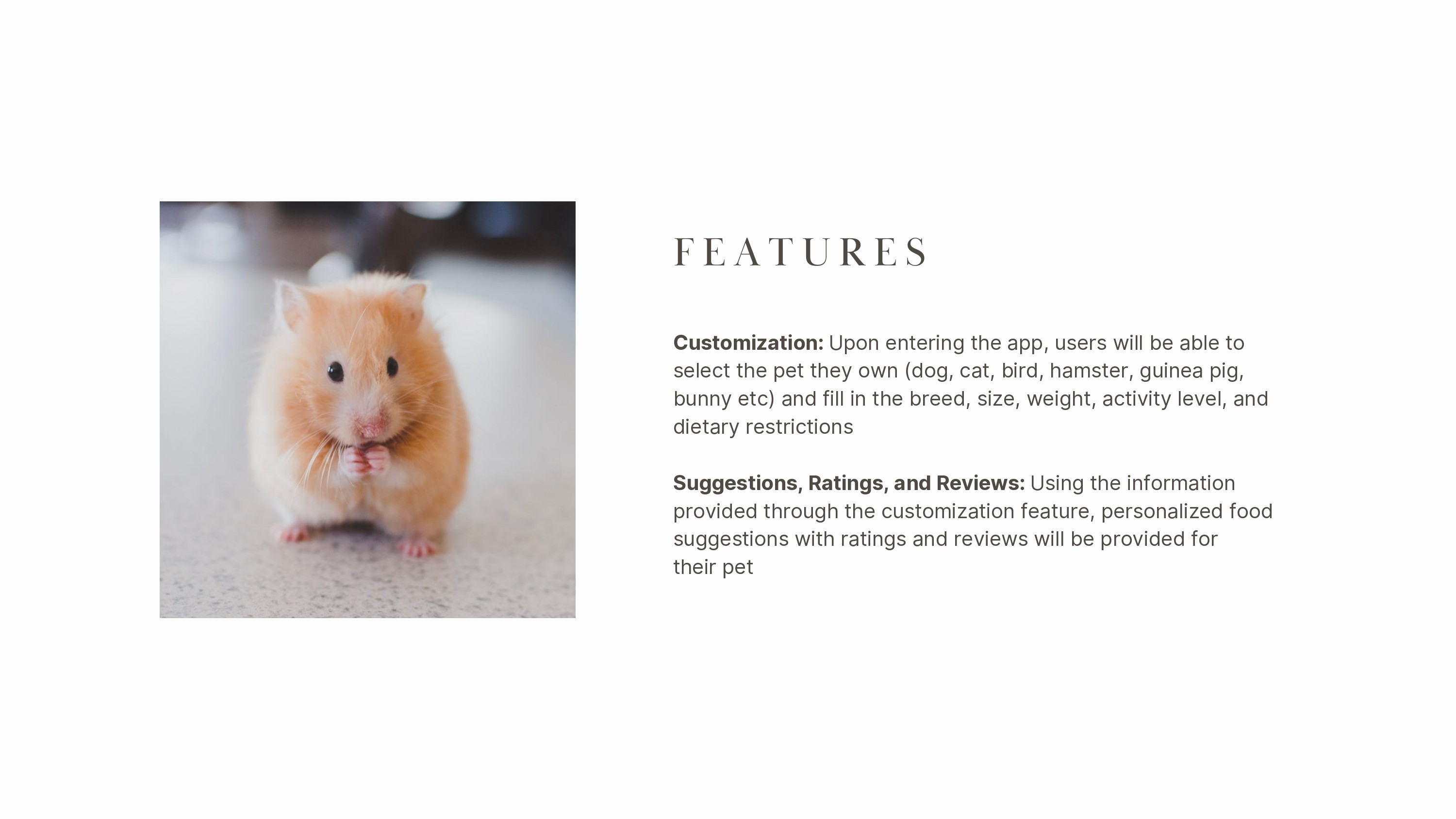 pet plate - features