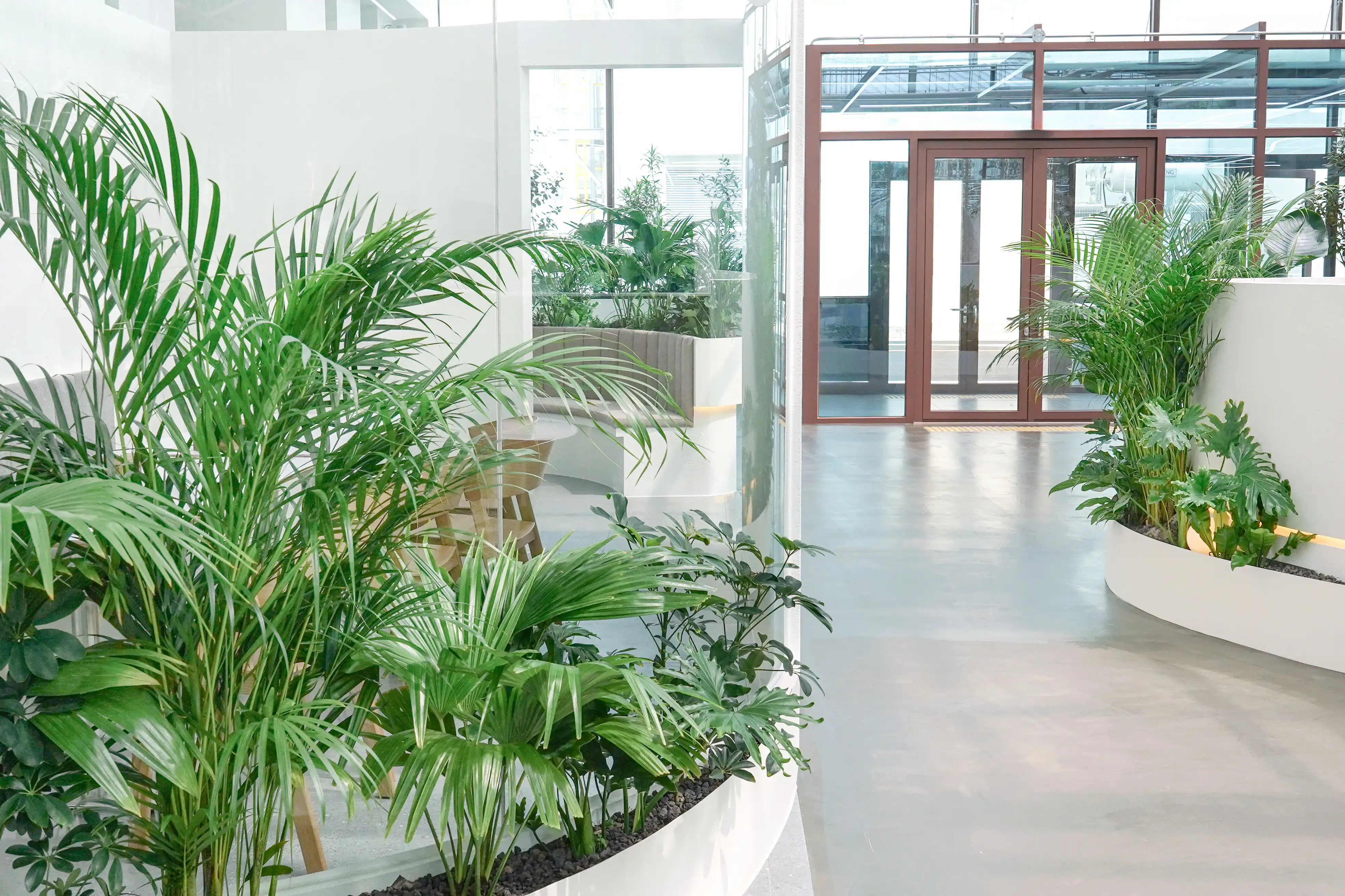 실내조경이 조성된 카페의 모습