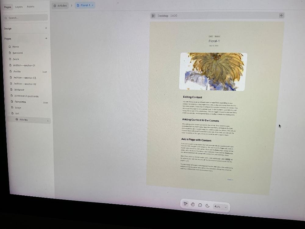 Visually searched image