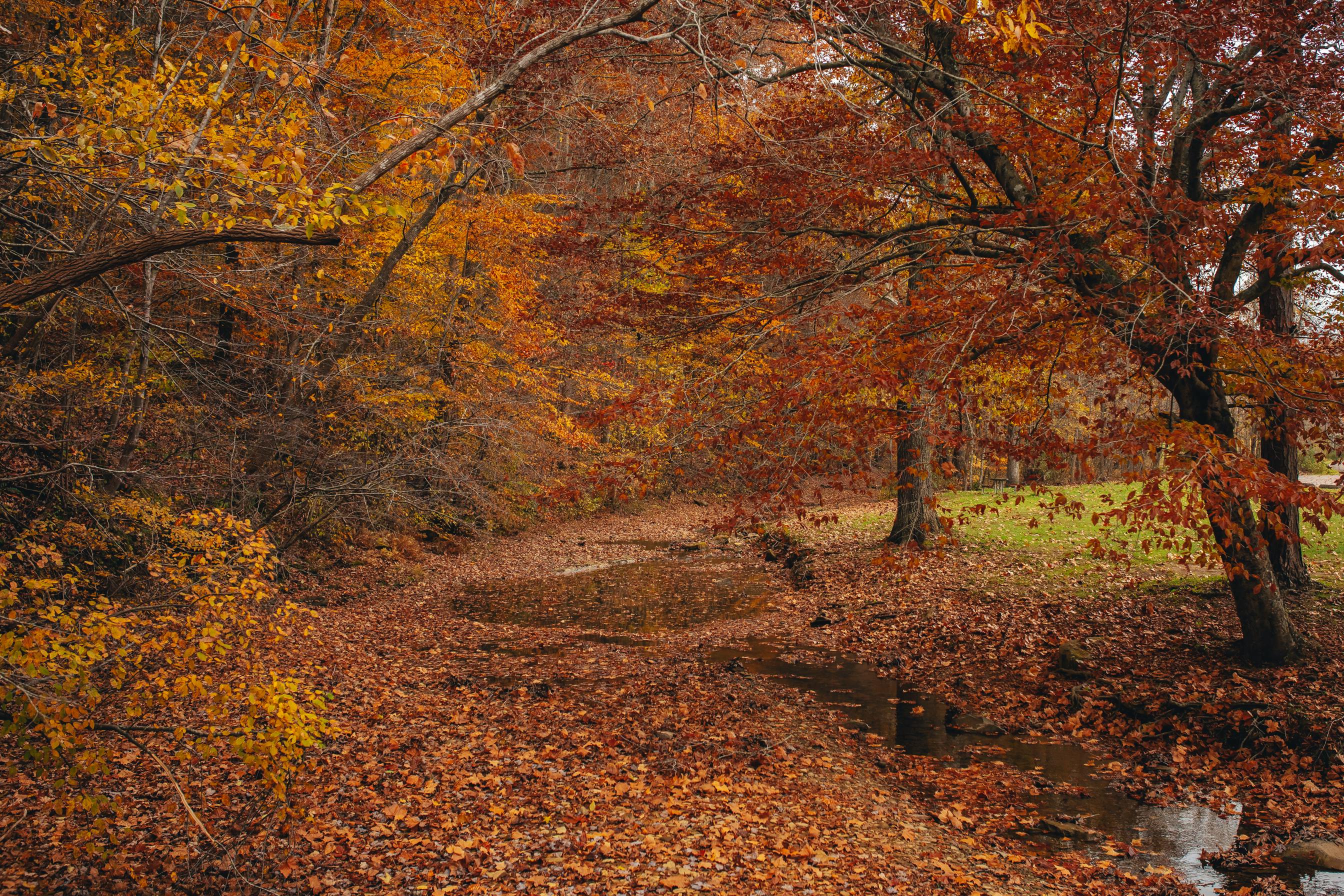 A train sits at a snowy station platform.