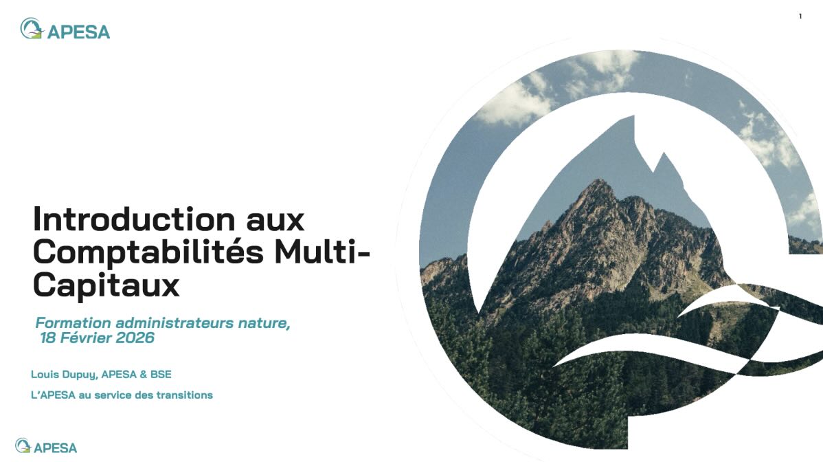 Close-up of lush, dark green leaves, some glossy and wet, against a muted background.