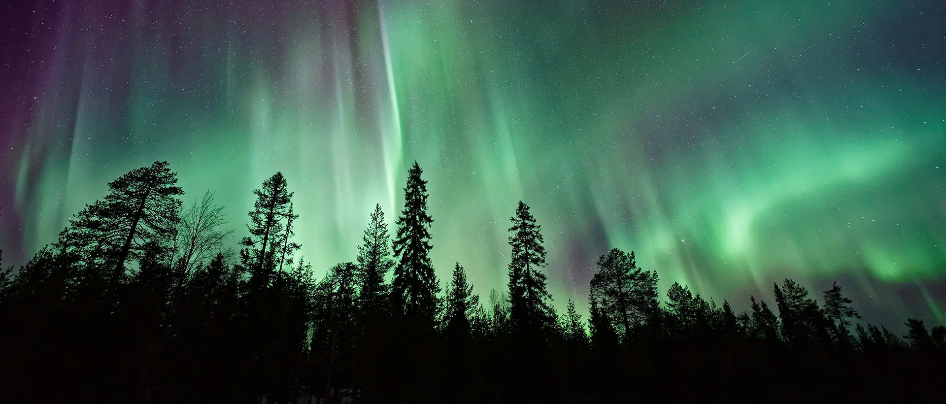 Northern lights glowing over snowy mountains and trees.